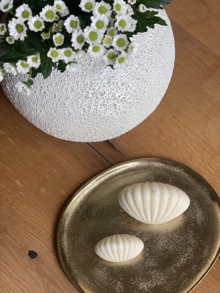 Muschel-Set