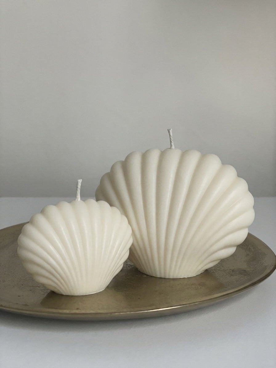 Muschel-Set
