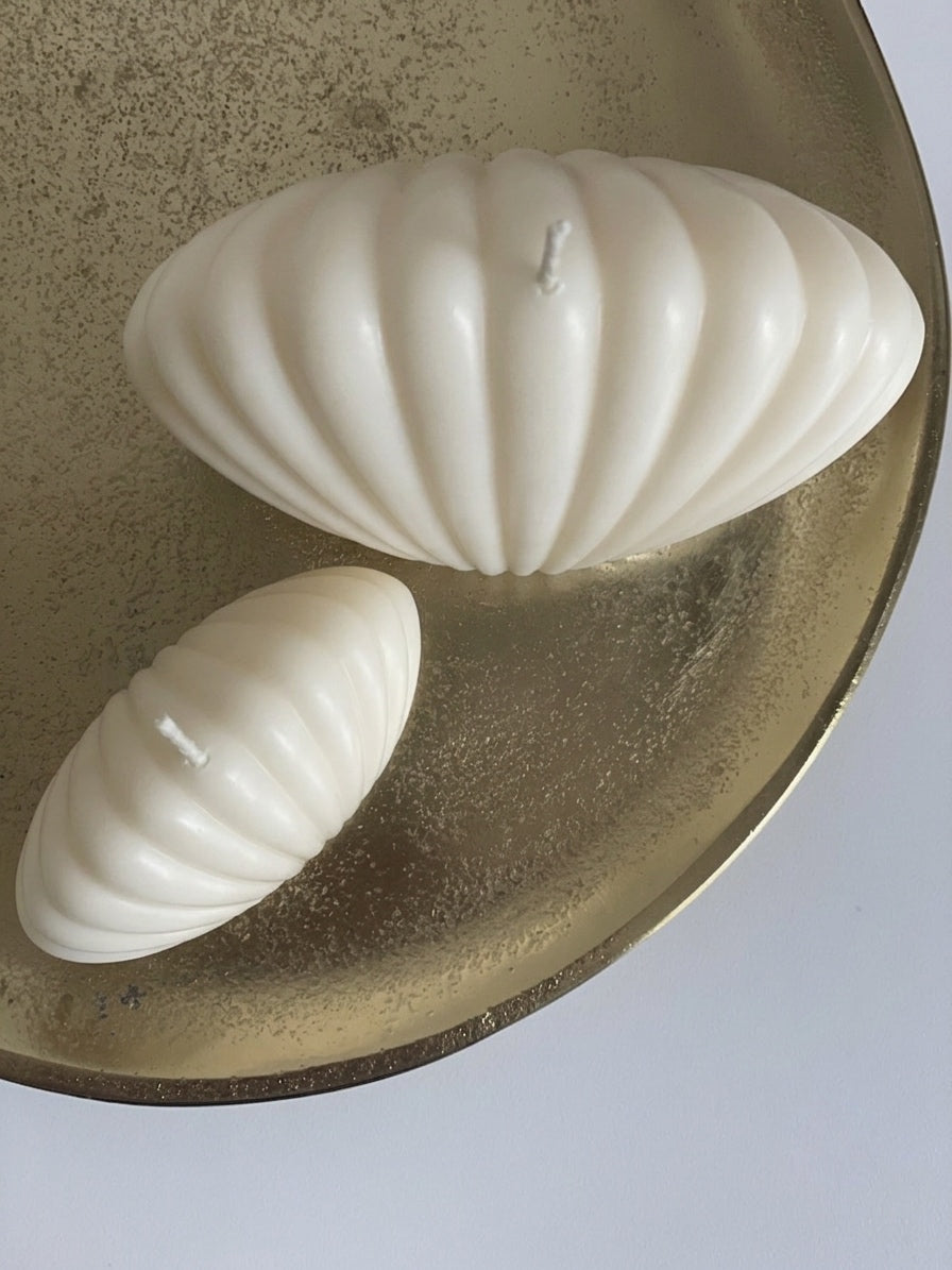 Muschel-Set