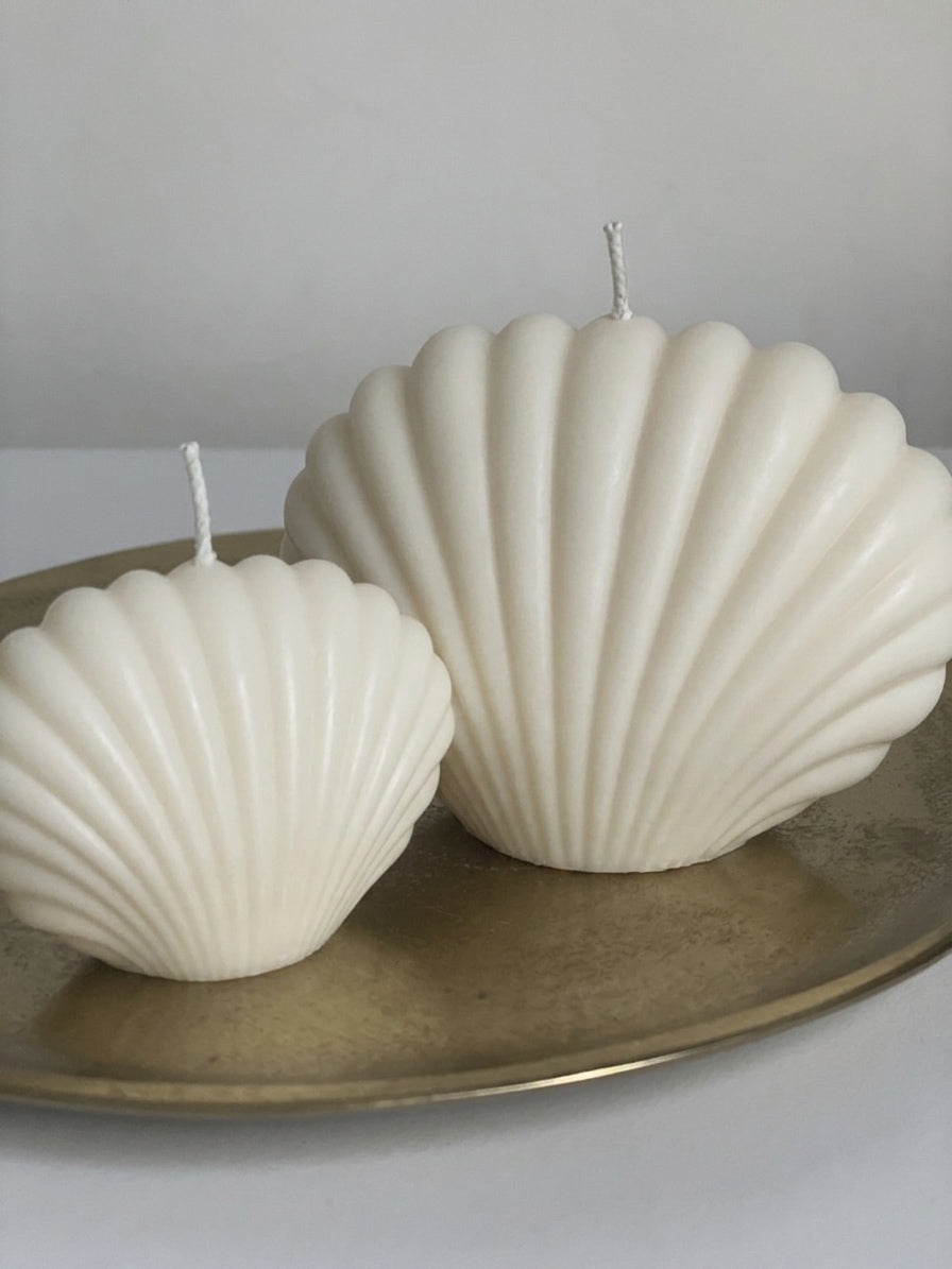 Muschel-Set