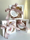 Edle Pfingstrose in Premium-Box